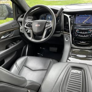 1f0b36c8a70a4010b6f770e15abf566a 2020 Cadillac Escalade Platinum