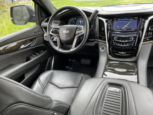 1f0b36c8a70a4010b6f770e15abf566a 2020 Cadillac Escalade Platinum