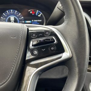 3a4c31f5b38e4914a3d7f95e0df632f3 2020 Cadillac Escalade Platinum