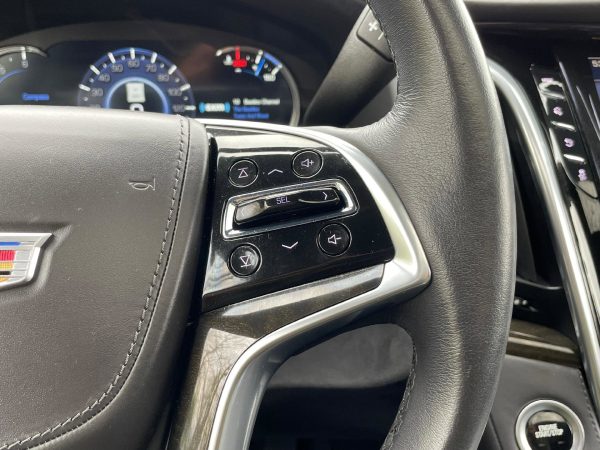 3a4c31f5b38e4914a3d7f95e0df632f3 2020 Cadillac Escalade Platinum