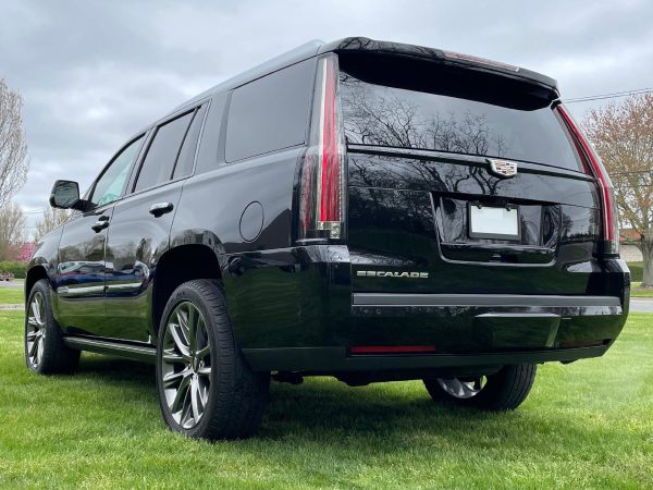 3e3604ffb8d441a395b9c26e86735a89 2020 Cadillac Escalade Platinum