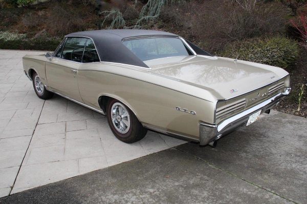 65628444-770-0@2X 1966 Pontiac GTO Royal Bobcat Hardtop. 389
