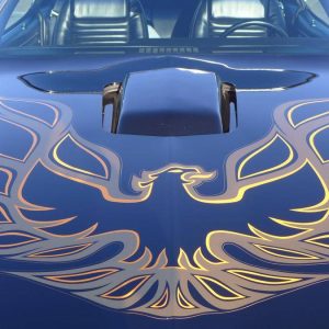 67559990-770-0@2X 1978 Pontiac Trans Am WS6/W72 Survivor W/6