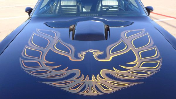 67559990-770-0@2X 1978 Pontiac Trans Am WS6/W72 Survivor W/6