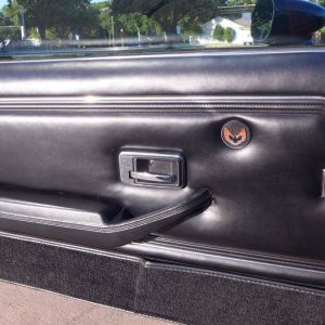 67559994-770-0@2X 1978 Pontiac Trans Am WS6/W72 Survivor W/6