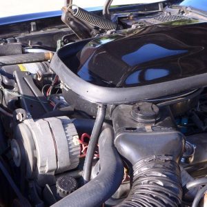 67559999-770-0@2X 1978 Pontiac Trans Am WS6/W72 Survivor W/6