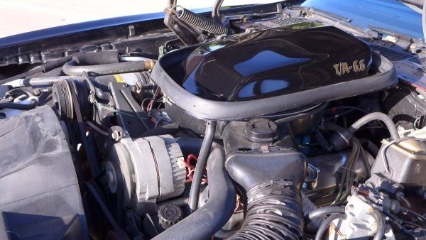 67559999-770-0@2X 1978 Pontiac Trans Am WS6/W72 Survivor W/6