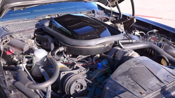 67560000-770-0@2X 1978 Pontiac Trans Am WS6/W72 Survivor W/6