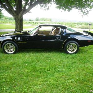 68328232-770-0@2X 1978 Pontiac Trans Am