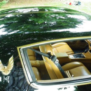 68328562-770-0@2X 1978 Pontiac Trans Am