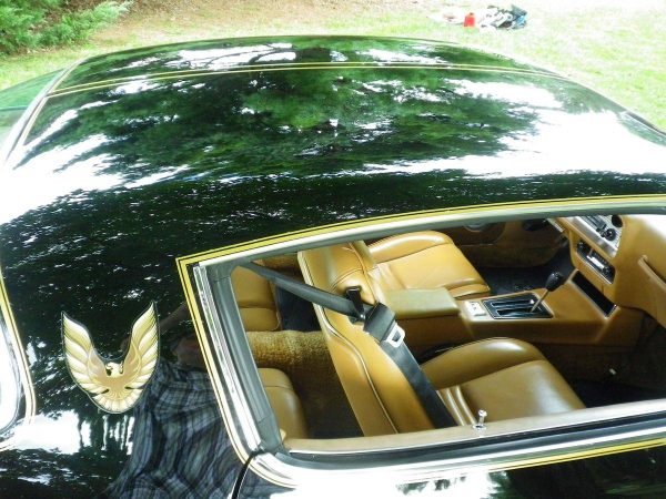 68328562-770-0@2X 1978 Pontiac Trans Am