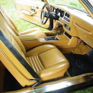 68329624-770-0@2X 1978 Pontiac Trans Am