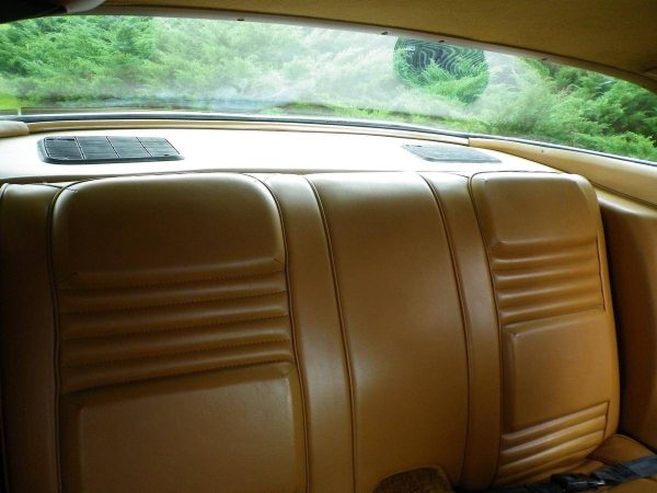 68329644-770-0@2X 1978 Pontiac Trans Am