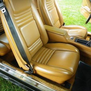 68329684-770-0@2X 1978 Pontiac Trans Am