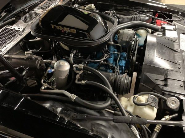 68568417-770-0@2X 1978 Pontiac Trans Am