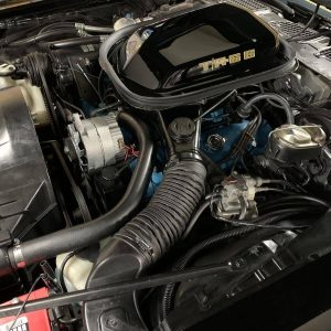 68568429-770-0@2X 1978 Pontiac Trans Am