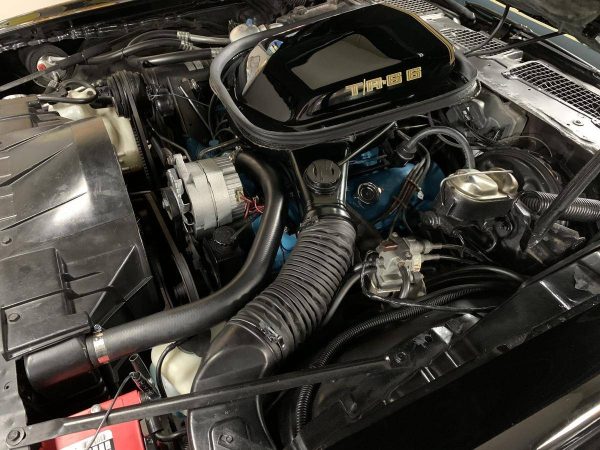 68568429-770-0@2X 1978 Pontiac Trans Am