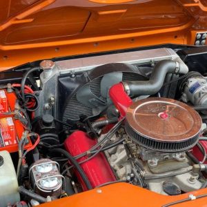 68676815-770-0@2X 1979 International Scout
