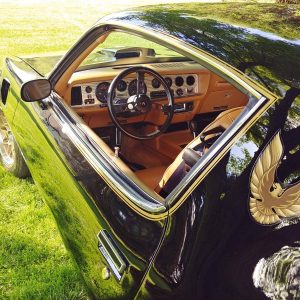 68716658-770-0@2X 1978 Pontiac Trans Am