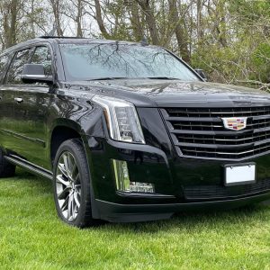 6f868bbd11ad40f6be63603a377ce607 2020 Cadillac Escalade Platinum