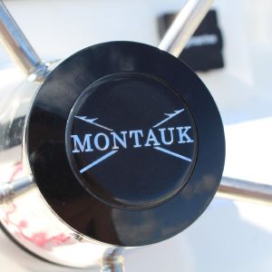 8565664_20221026050326901_1_XLARGE 2020 Boston Whaler 170 Montauk
