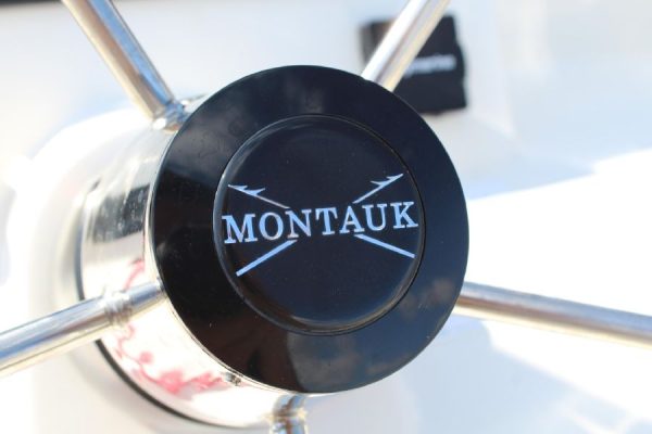 8565664_20221026050326901_1_XLARGE 2020 Boston Whaler 170 Montauk