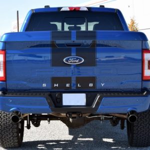 8ff83c6a6b5f4a94a50777550881b2d8 2022 Ford F150 Lariat Blue Metallic