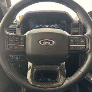 928ef39b0c8148039b9fd6ef0abe1c92 2021 Ford F150 Lariat 4WD