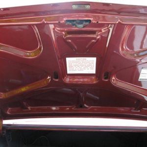 IMG_0297 (15) 1965 Pontiac GTO