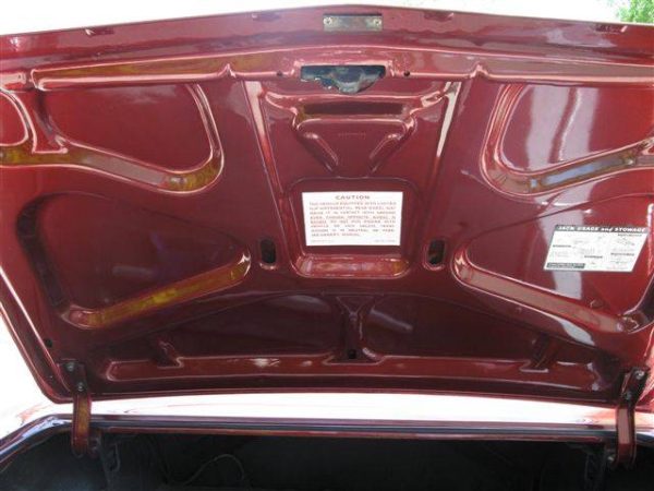 IMG_0297 (15) 1965 Pontiac GTO