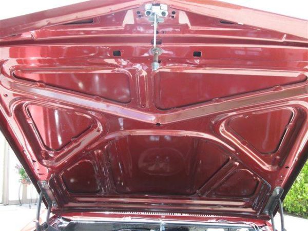 IMG_0297 (17) 1965 Pontiac GTO