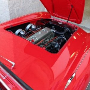 Image00079 1954 Austin-Healey 100-4