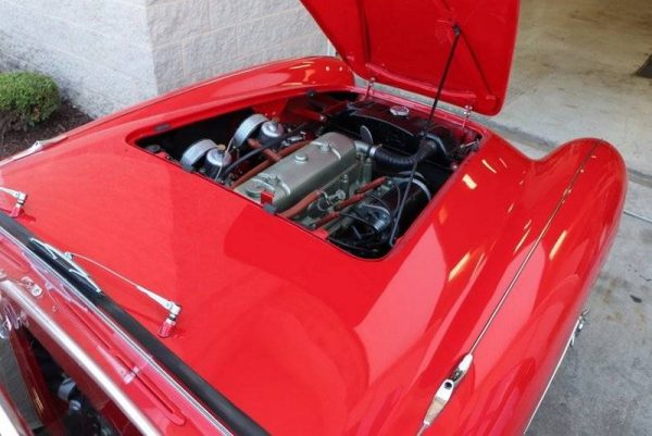 Image00079 1954 Austin-Healey 100-4