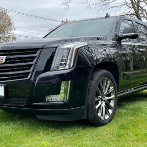 d28e167374b54a25a7c7a5dc0ac78fcd 2020 Cadillac Escalade Platinum