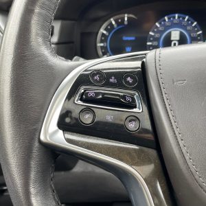 e1f76459ee54403a80951149bd08f486 2020 Cadillac Escalade Platinum