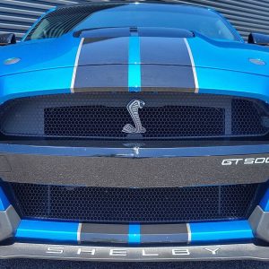e7ce8a7356d34a518b9d8b92ff9e80a3 2021 Ford Mustang Shelby GT500 Blue Metallic