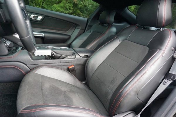 IMG_382923_ (11) 2019 Ford Mustang GT Premium