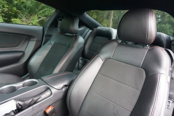 IMG_382923_ (12) 2019 Ford Mustang GT Premium