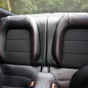 IMG_382923_ (14) 2019 Ford Mustang GT Premium