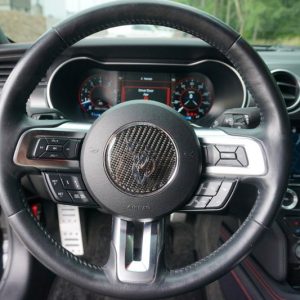 IMG_382923_ (16) 2019 Ford Mustang GT Premium