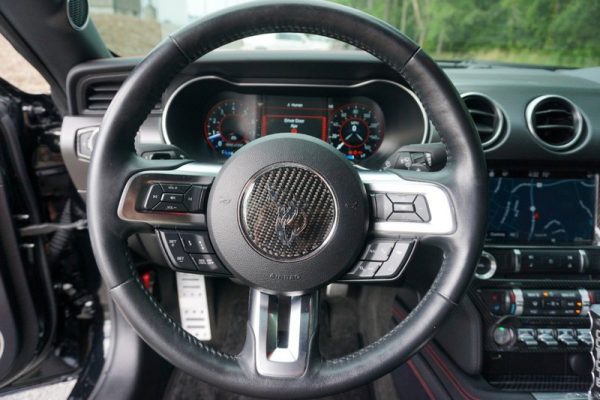 IMG_382923_ (16) 2019 Ford Mustang GT Premium