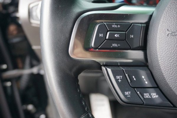 IMG_382923_ (17) 2019 Ford Mustang GT Premium