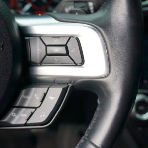 IMG_382923_ (18) 2019 Ford Mustang GT Premium