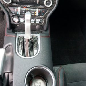 IMG_382923_ (20) 2019 Ford Mustang GT Premium