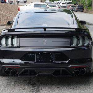 IMG_382923_ (7) 2019 Ford Mustang GT Premium