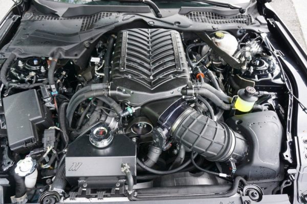 IMG_382923_ (9) 2019 Ford Mustang GT Premium