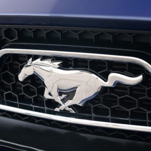 IMG_72929_ (54) 2015 Ford Mustang GT Coupe 50th Anniversary Edition