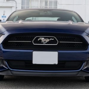IMG_72929_ (7) 2015 Ford Mustang GT Coupe 50th Anniversary Edition
