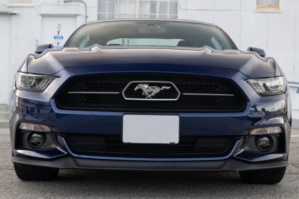 IMG_72929_ (7) 2015 Ford Mustang GT Coupe 50th Anniversary Edition