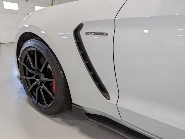 IMG_739201_ (10) 2017 Ford Mustang Shelby GT350